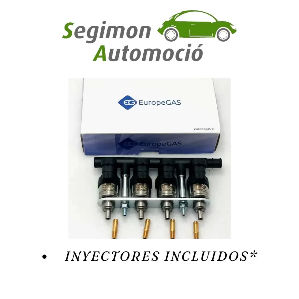 RAIL DE INYECCION 4 CYL HANA H2000 A+ EUROPEGAS (INYECTORES INCLUIDOS)