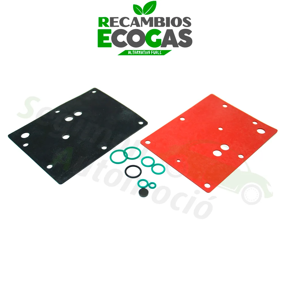 BRC kit de reparación del reductor Genius-Max