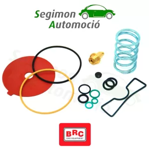 BRC SQ 32 Switch de dos posiciones ( 4 pins)