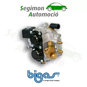 Kit de reparación del reductor Bigas M20