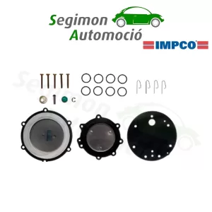 Filtro de gran capacidad de 10 micras, 1/4 NPT hembra IMPCO