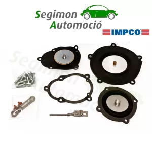 Filtro de gran capacidad de 10 micras, 1/4 NPT hembra IMPCO