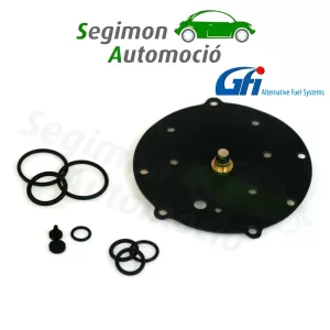 Kit di riparazione riduttore di GPL IMPCO Cobra per carrelli elevatori