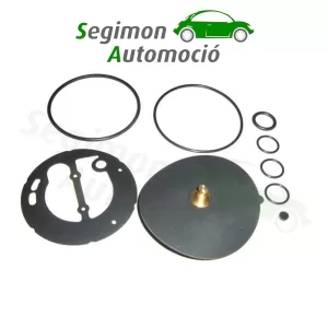 AC Kit de reparación para inyector ACW-02 de GLP GNC (4 cilindros)