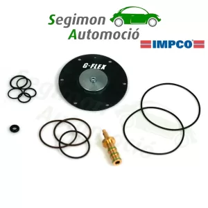 Kit di riparazione riduttore di GPL IMPCO Cobra per carrelli elevatori