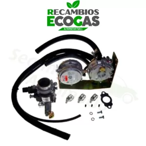 Filtro de gran capacidad de 10 micras, 1/4 NPT hembra IMPCO