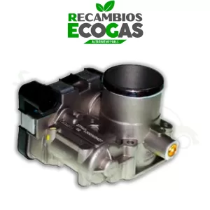 Filtro de gran capacidad de 10 micras, 1/4 NPT hembra IMPCO