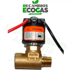 Landi Renzo solenoide para GNC para regulador de presión NG1/NG2