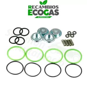AC Kit de reparación para inyector ACW-01 de GLP GNC (3 cilindros)