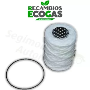 Filtro de gran capacidad de 10 micras, 1/4 NPT hembra IMPCO