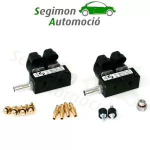 IG1 rampa de 3 cilindros BLACK BODY 3 ohm (versión antigua)