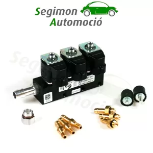 Rampa di iniezione Tartarini 3 cilindri EVO08G con sensore di temperatura