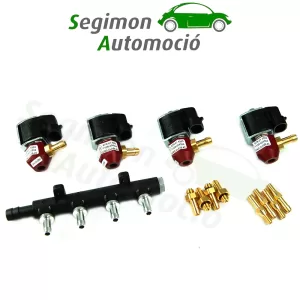 Iniettore Landi Renzo LPG/CNG GIRS12 - 3 cilindri (XXS - L)