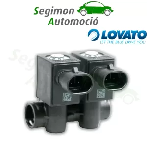 Rampa di iniezione Lovato 2 cilindri JLP EP