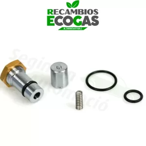 AC Kit de reparación para inyector ACW-01 de GLP GNC (3 cilindros)