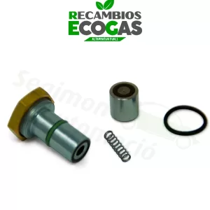 AC Kit de reparación para inyector ACW-01 de GLP GNC (3 cilindros)