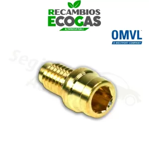 OMVL boquilla de inyección (GEMINI)