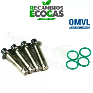 AC Kit de reparación para inyector ACW-01 de GLP GNC (3 cilindros)