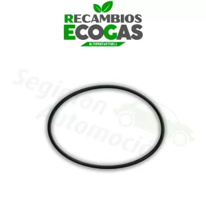 MULTIVÁLVULA ICOM F13 - 10 agujeros JTG F85 - T95