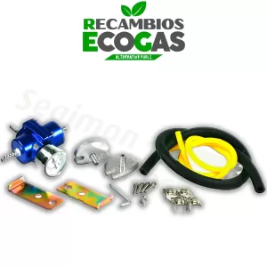 Regulador de combustible variable 0-7 bar regulación continua