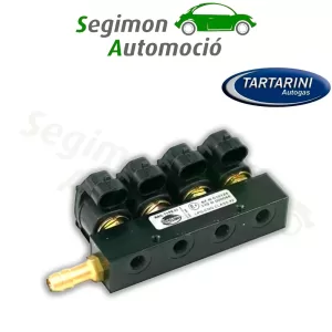 Rampa di iniezione Lovato 2 cilindri JLP EP