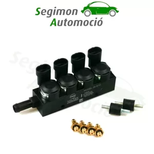 Valtek rampa de inyección de 4 cilindros tipo 39 Este artículo sólo puede pedirse en unidades de embalaje completas. (PU 20 piezas o múltiplos de las mismas).