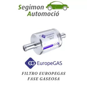 Europegas Recambio fase gaseosa poliéster incl. juntas tóricas | Filtro GLP/GNC