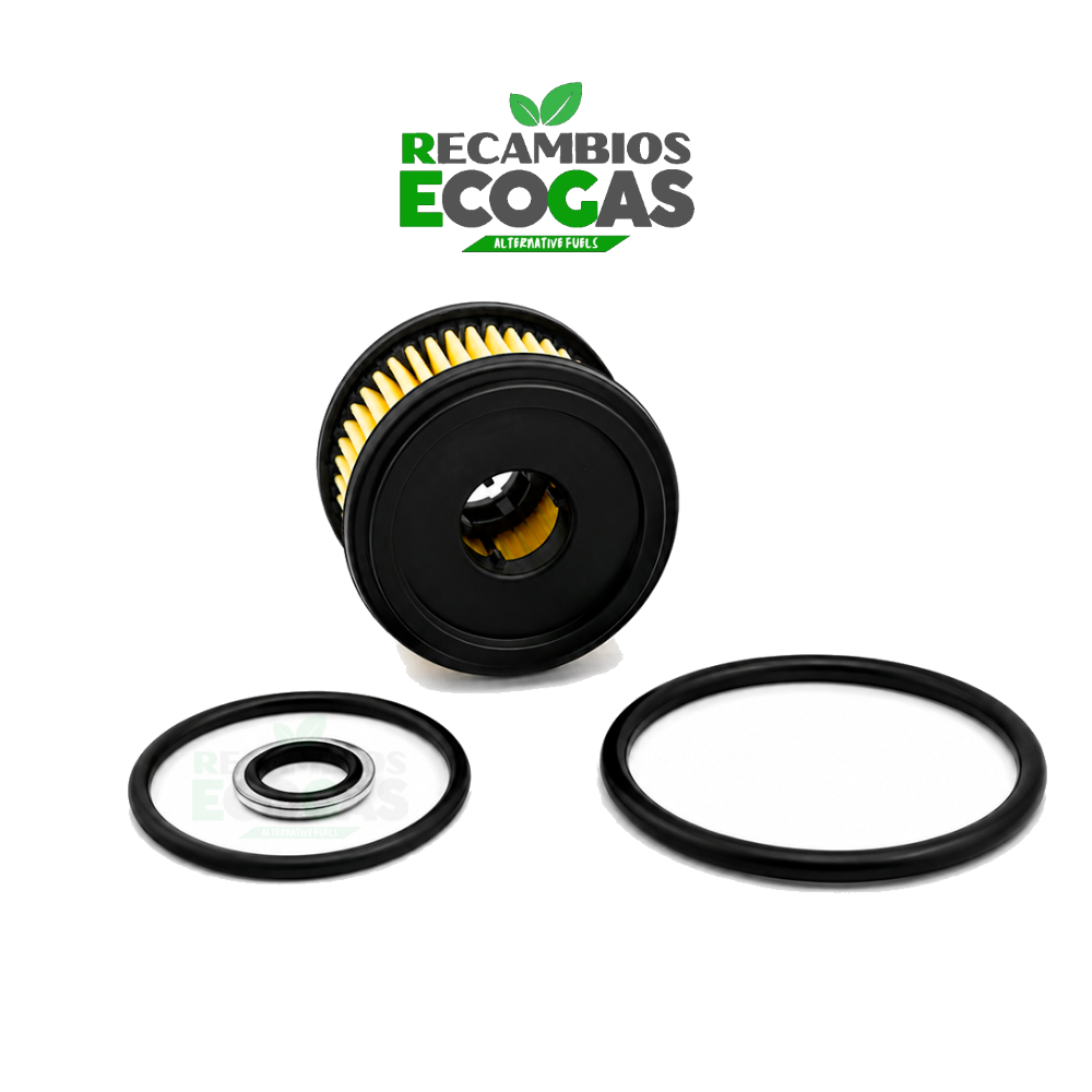 Filtro fase liquida europegas 2_miniatura FILTRO EUROPEGAS FASE LIQUIDA