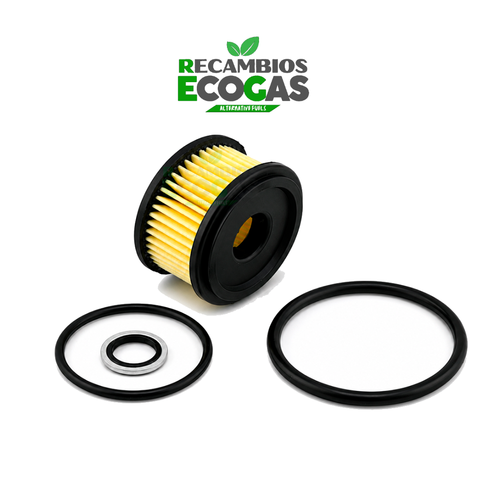 Filtro fase liquida europegas_miniatura EUROPEGAS