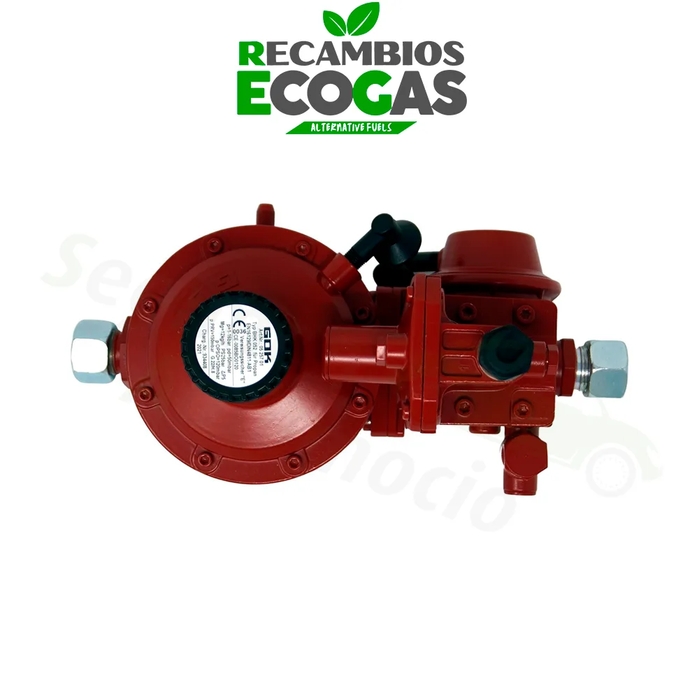 GOK regulador de presión BHK052 12 kg/h 50 mbar RVS 15mm