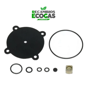 Kit de Reparación RRISN/13 (Reductor ROMANO Pequeño)