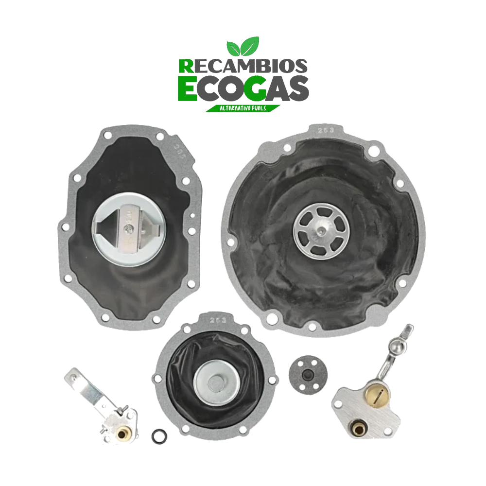 Kit de reparación IMPCO NIKKI Nissan J02 con membrana
